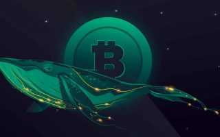Bitcoin-whales