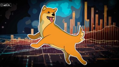 آیا شیبااینو میتواند به ۰/۵۰ دلار برسد؟ 7 آیا شیبااینو میتواند به ۰/۵۰ دلار برسد؟