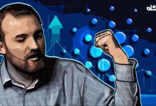 بنیانگذار کاردانو به منتقدان: ما برنده هستیم، درست مانند بیتکوین