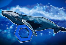 صعود توکن LINK؛ خریدهای هنگفت نهنگ‌های چین لینک