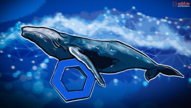 صعود توکن LINK؛ خریدهای هنگفت نهنگهای چین لینک 8 صعود توکن LINK؛ خریدهای هنگفت نهنگهای چین لینک