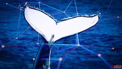 معرفی بهترین ابزار ردیابی نهنگها در دنیای کریپتو 4 ردیابی نهنگها در دنیای کریپتو