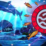 شبکه Sei چیست؟ معرفی کامل شبکه سی، توکن بومی و کاربردهای آن شبکه Sei چیست؟ راهحلی انقلابی برای بهبود سرعت و امنیت صرافیها