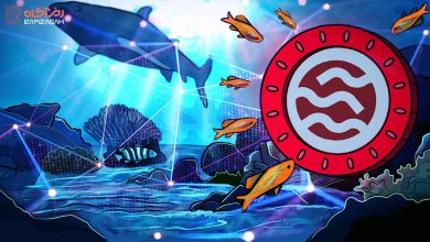 شبکه Sei چیست؟ معرفی کامل شبکه سی، توکن بومی و کاربردهای آن 3 شبکه Sei چیست؟ راهحلی انقلابی برای بهبود سرعت و امنیت صرافیها