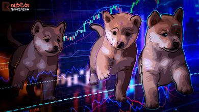 تحلیل و بررسی رمزارز شیبا اینو (SHIB): ۱۷ دی 3 تحلیل و بررسی رمزارز شیبا اینو (SHIB): ۱۷ دی