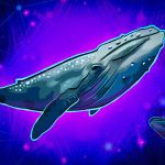 ۳ آلتکوین برتر برای خرید از نگاه نهنگ ها! ۳ آلتکوین برتر برای خرید در حال حاضر از نگاه نهنگها!