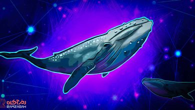 ۳ آلتکوین برتر برای خرید در حال حاضر از نگاه نهنگ‌ها!