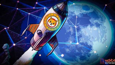 ۳ عامل مهم که باعث رشد قیمت رمز ارز شیبا اینو میشوند 2 ۳ عامل مهم که باعث رشد قیمت رمز ارز شیبا اینو میشوند