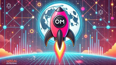 چگونه مانترا با رشد ۱۲ درصدی دومین پروژه بزرگ RWA شد؟ آیا توکن OM به ۱۰ دلار می‌رسد؟ - رمزآگاه